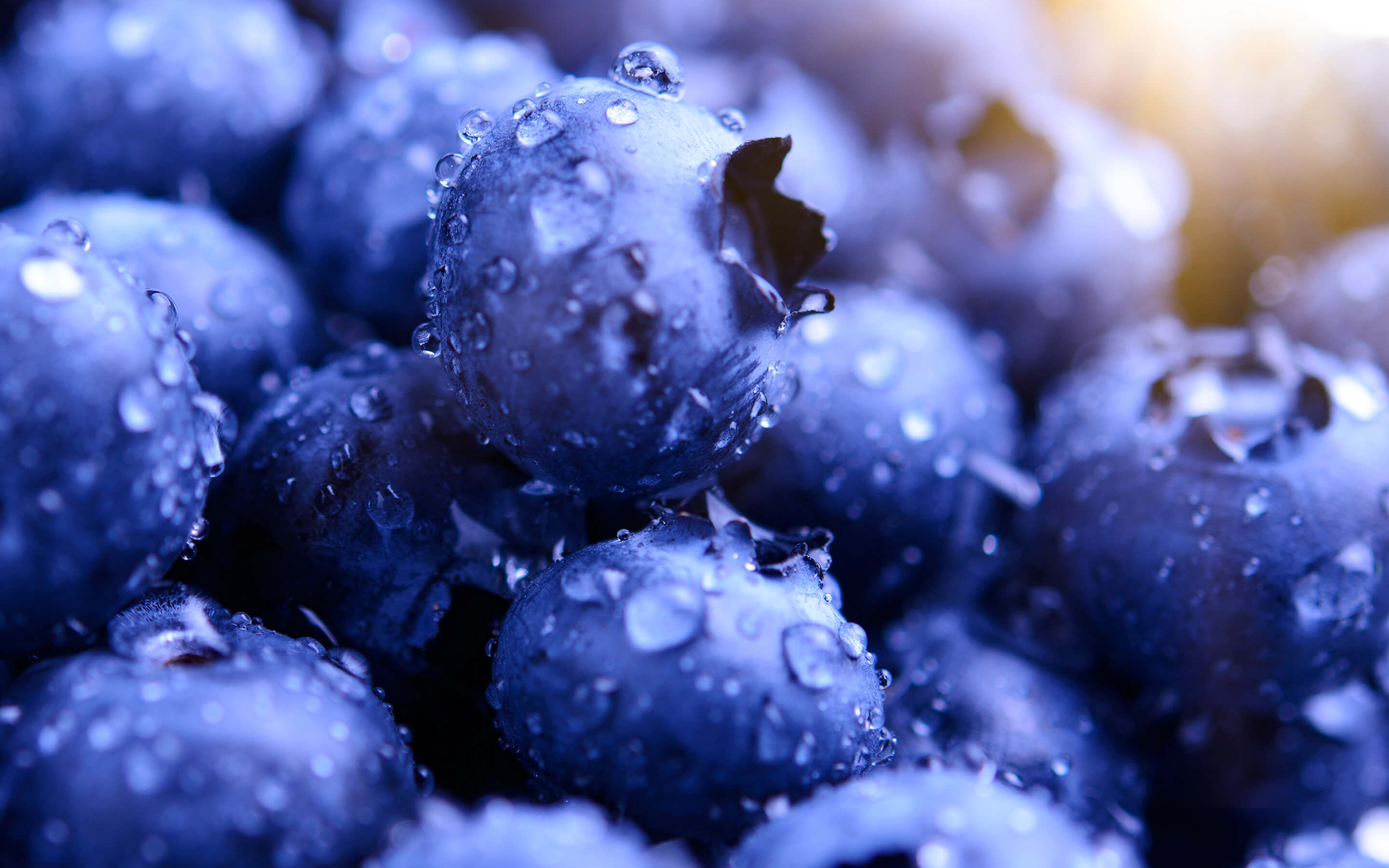 Blueberries HD824665178